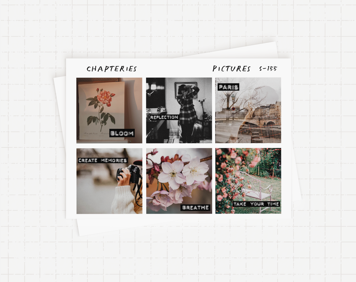 Sticker sheet - Pictures - S-155