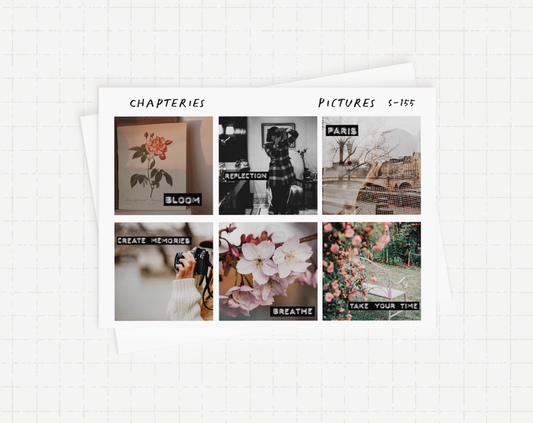 Sticker sheet - Pictures - S-155