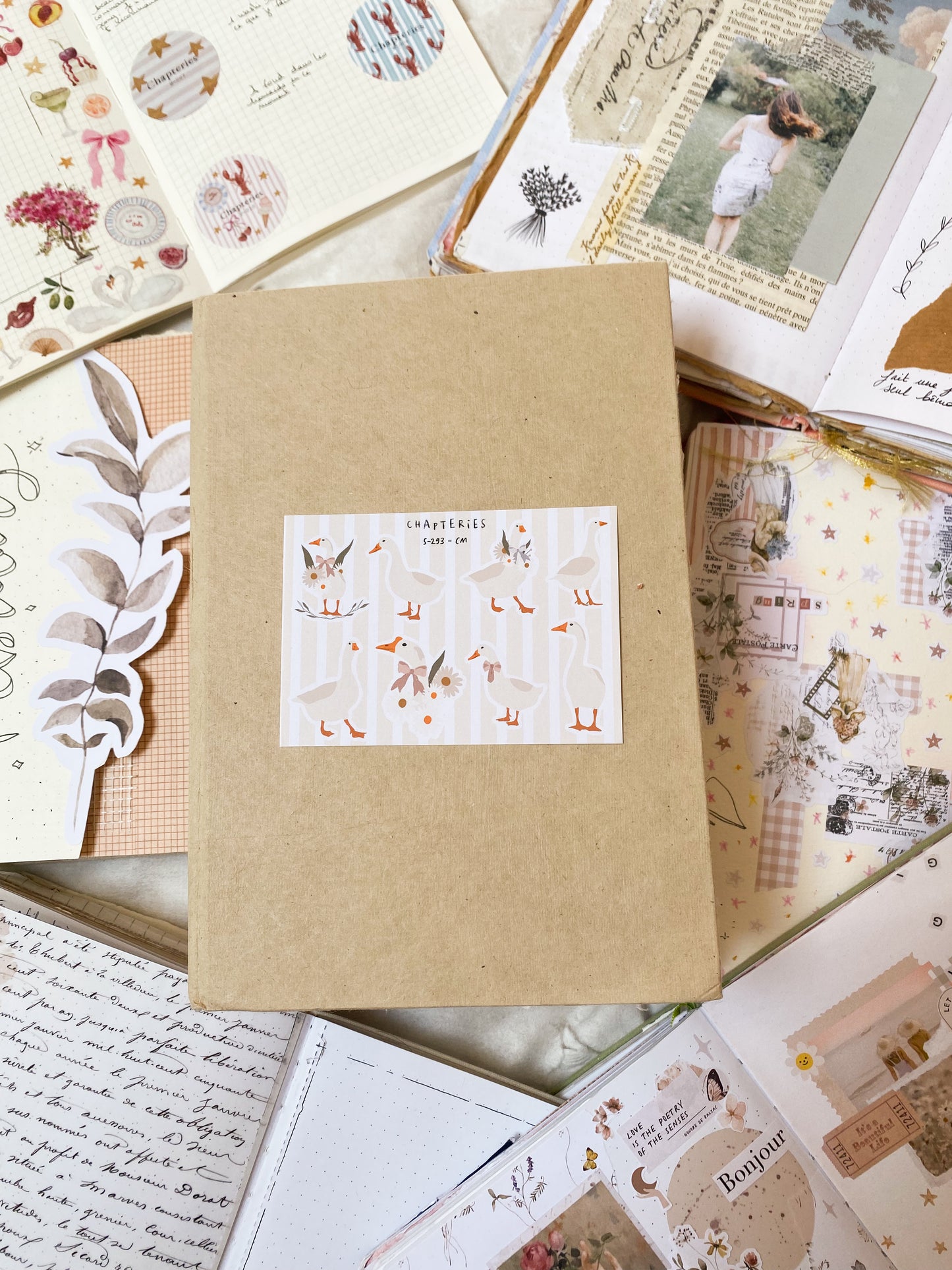 Stickers sheet - Geese