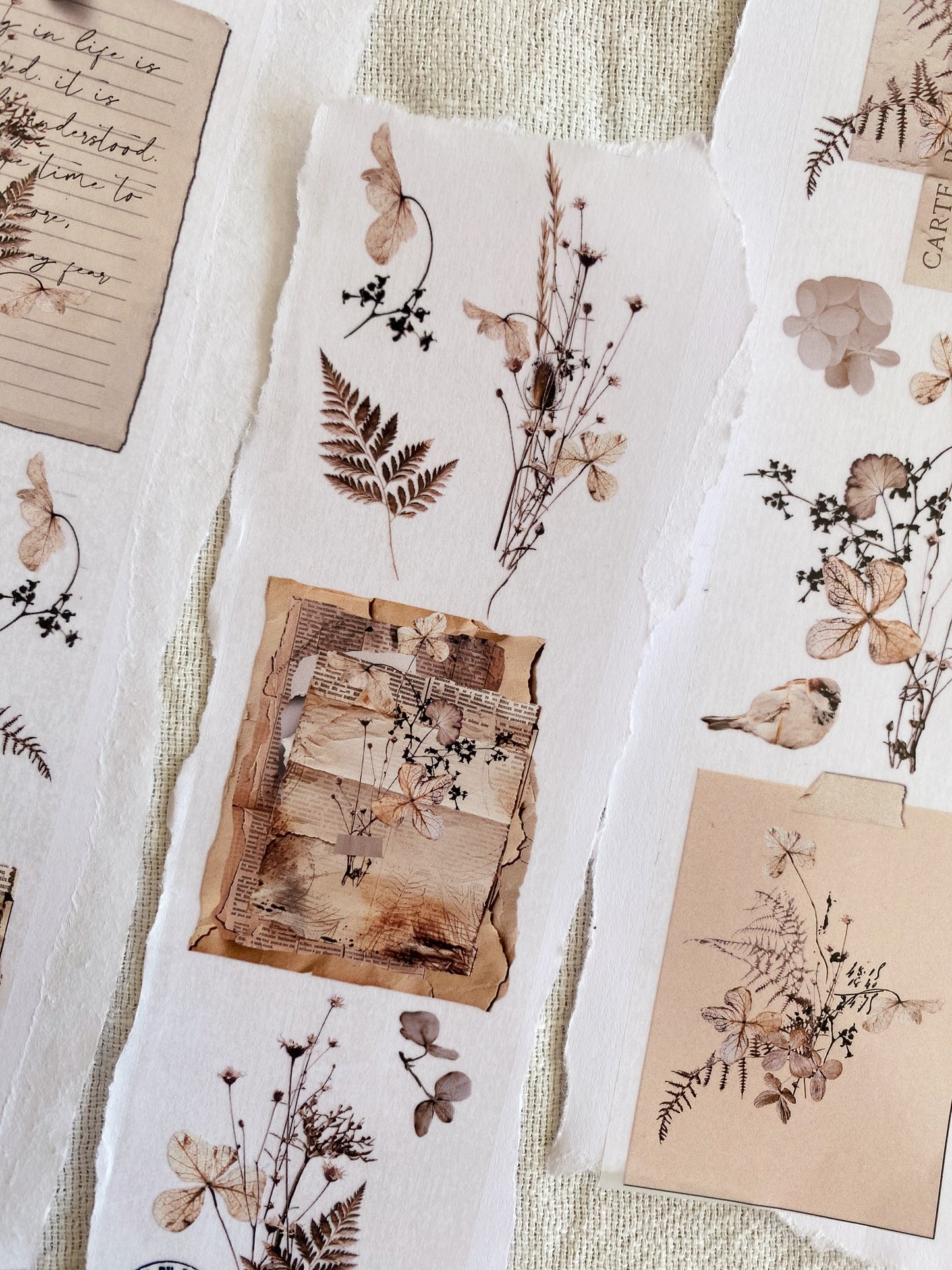 PET tape - Dried flowers
