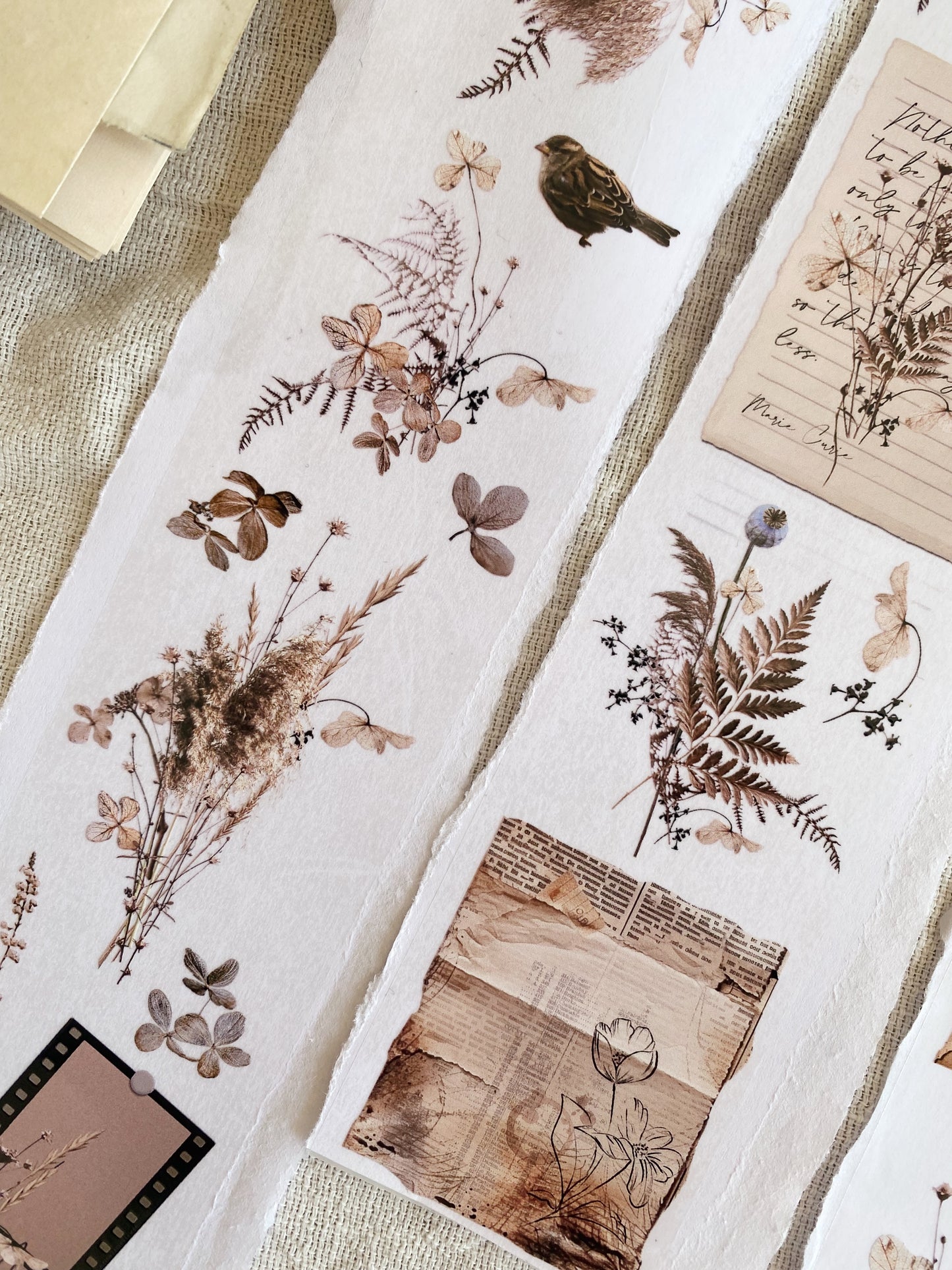 PET tape - Dried flowers