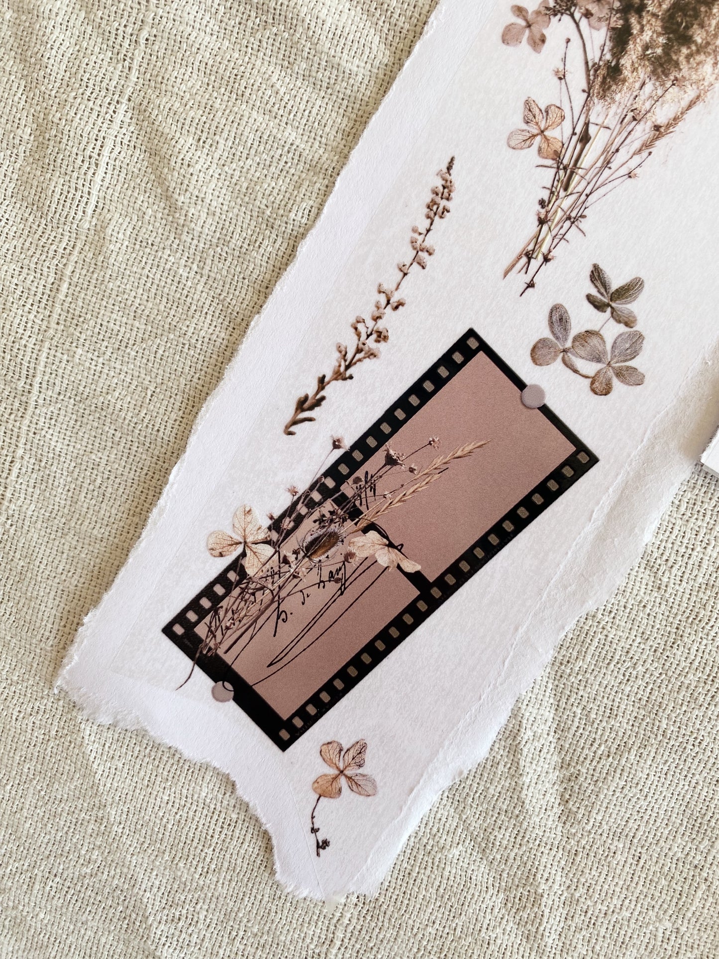 PET tape - Dried flowers