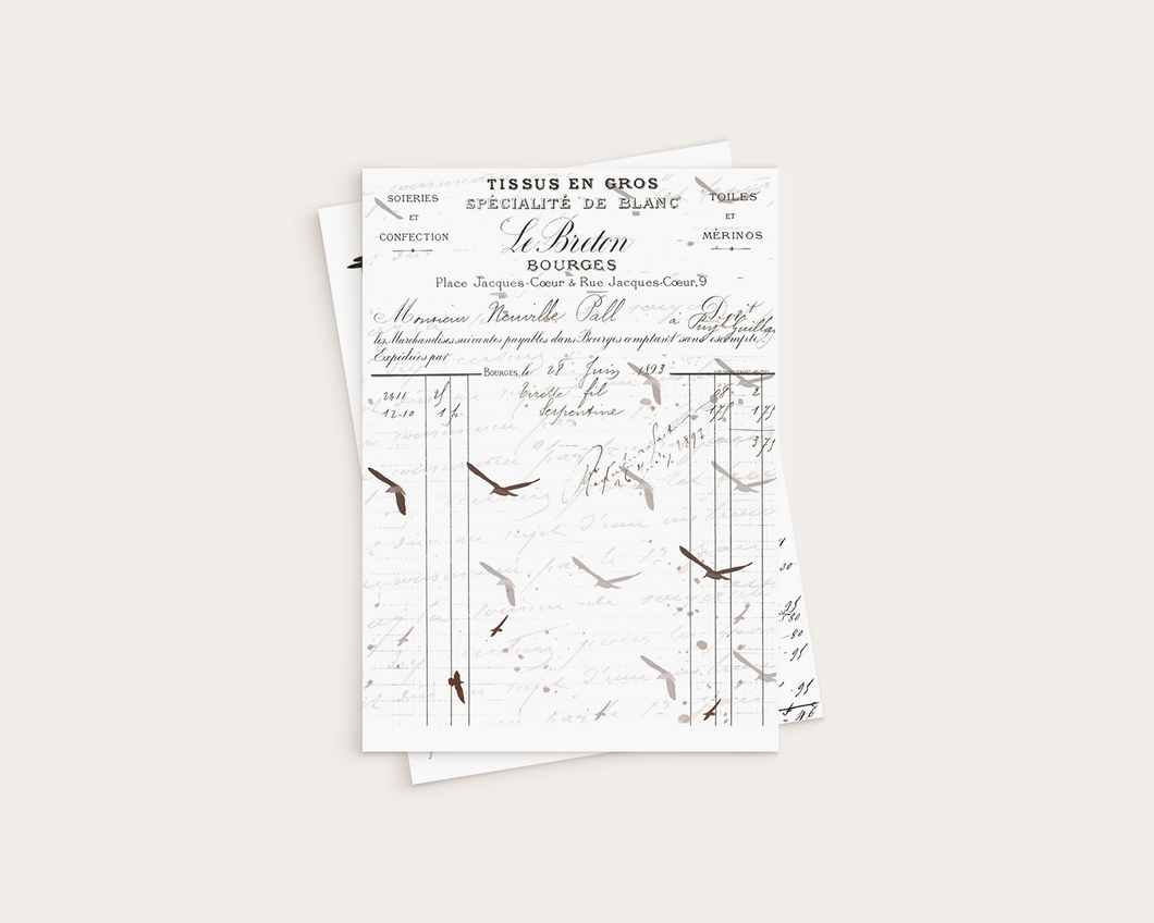 Pattern (Paper) - Birds - P-051