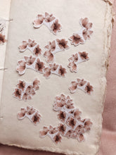 Carregar imagem no visualizador da galeria, Little brown flowers stickers
