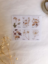 Charger l&#39;image dans la galerie, Set of stickers « fall vibes »
